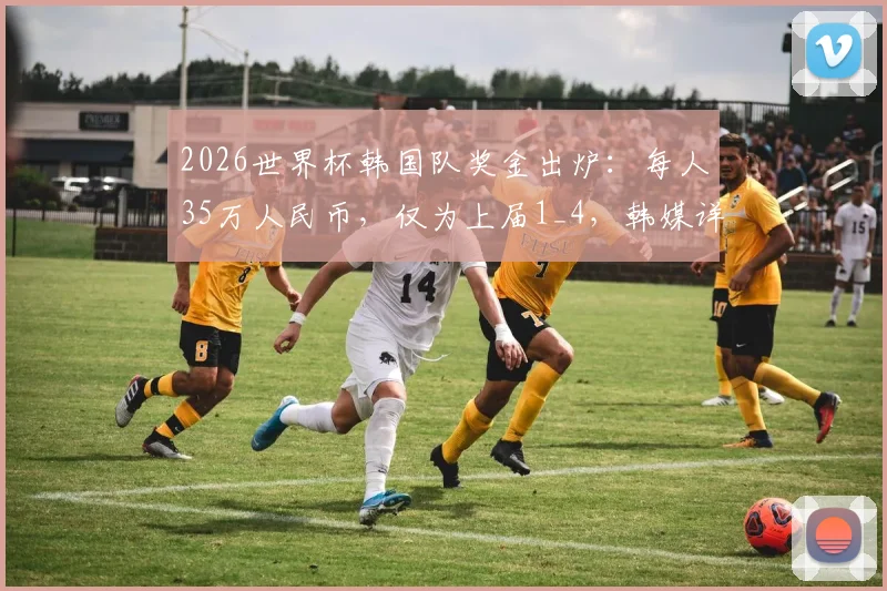 2026世界杯韩国队奖金出炉：每人35万人民币，仅为上届1_4，韩媒详解分配内情